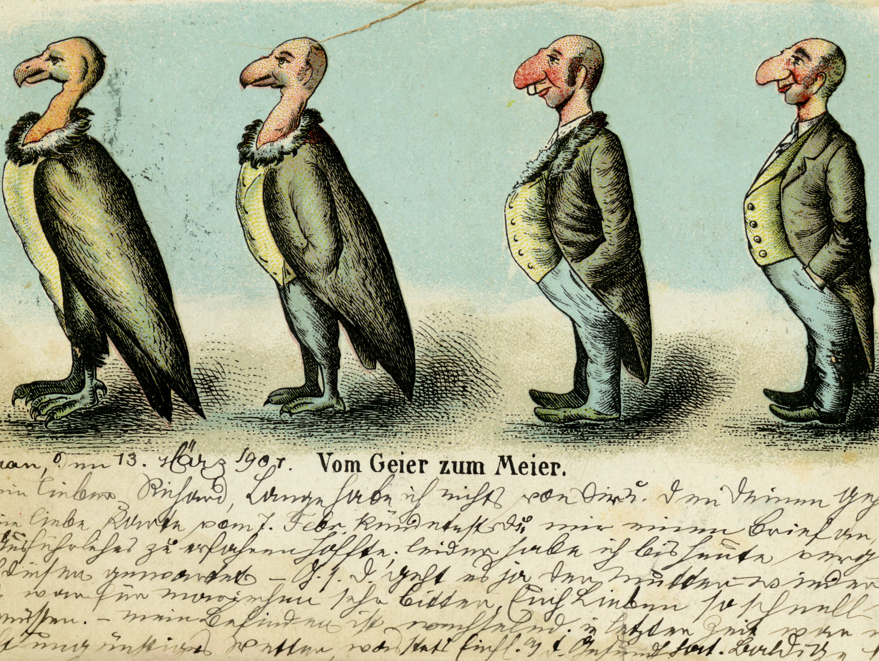 "From vulture to Meier," 1901