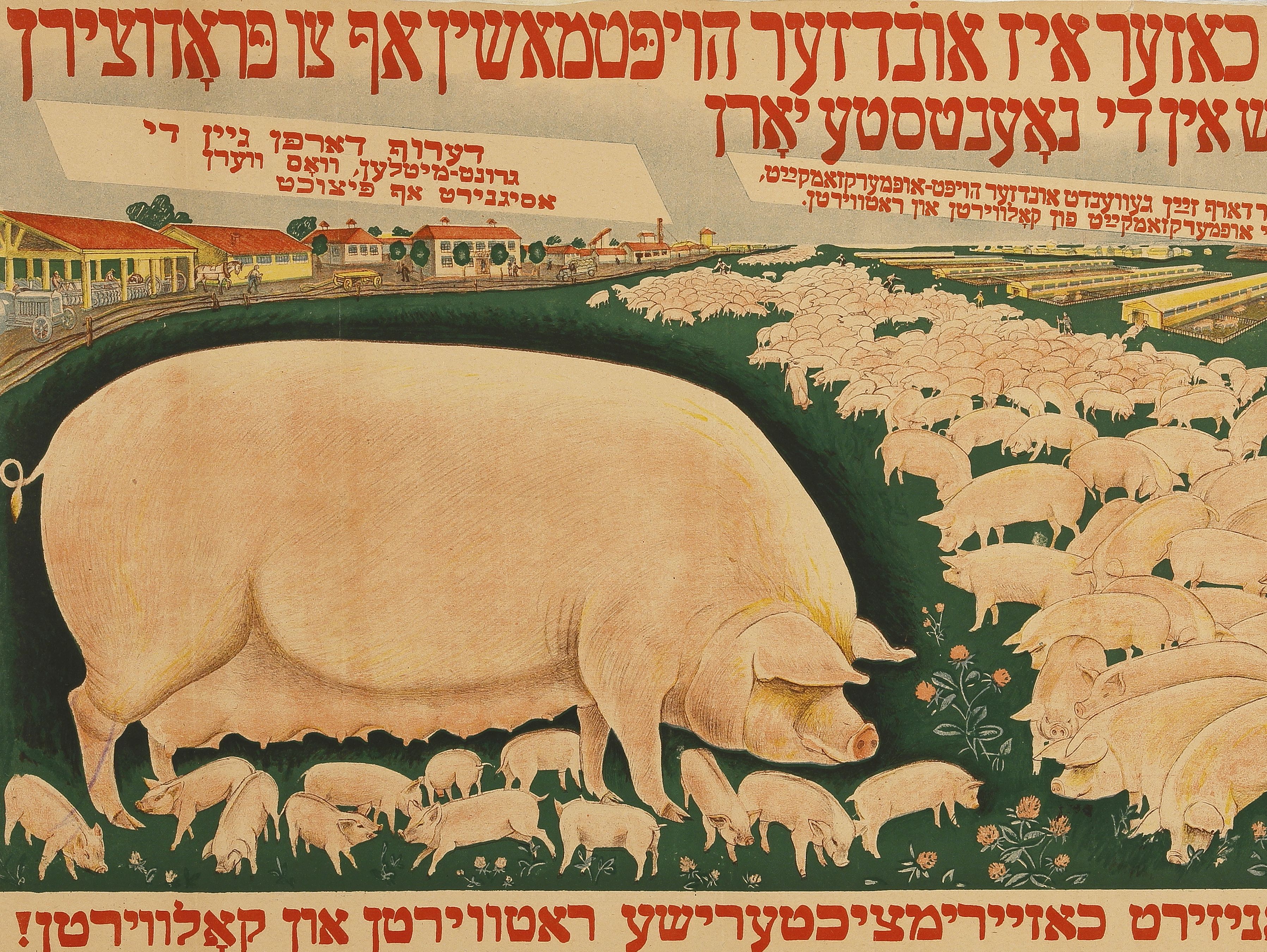 Soviet Yiddish propaganda poster “The pig is our main machine for production of meat in the coming years!” 1931
