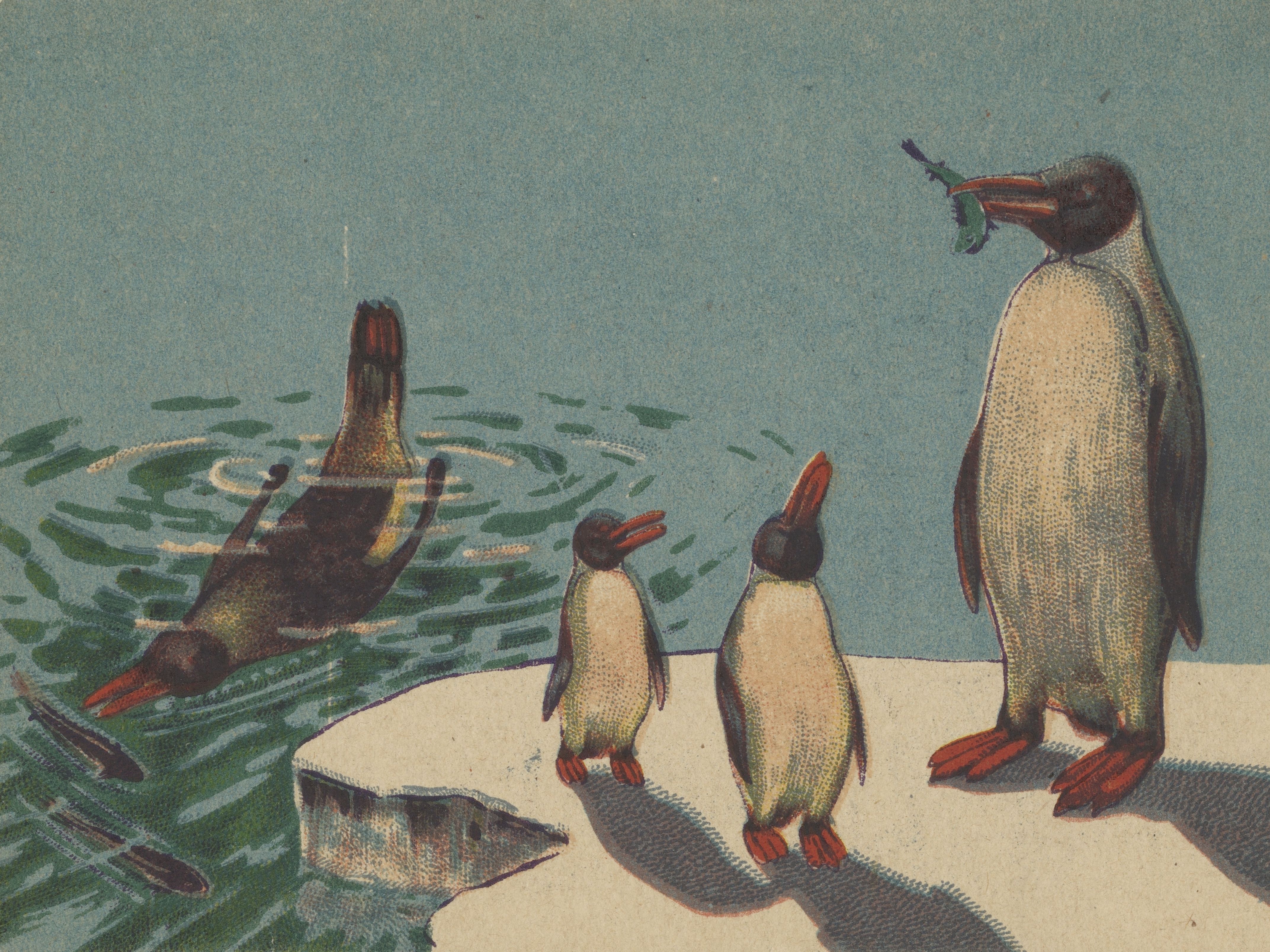 Postcard with a penguin illustration, 1943